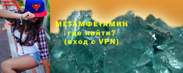 прущие грибы Богородск