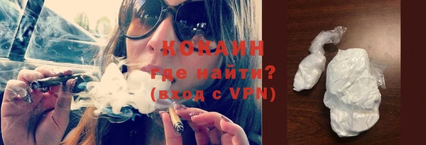 прущие грибы Богородск