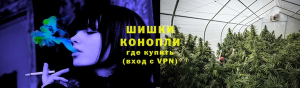 прущие грибы Богородск