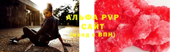 прущие грибы Богородск