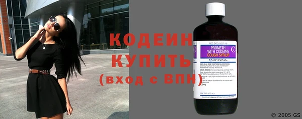 хмурый Богородицк