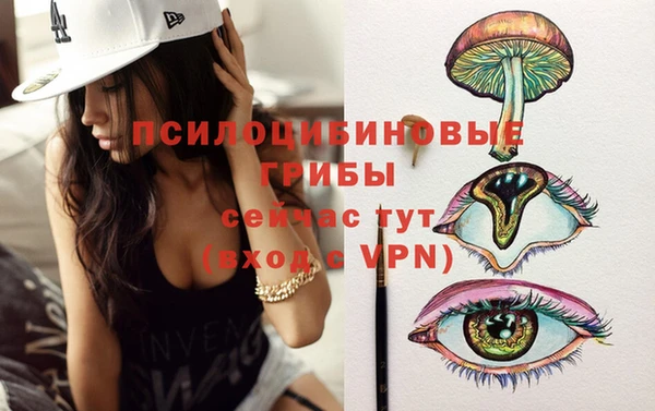 хмурый Богородицк