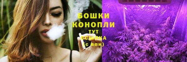 2c-b Белокуриха