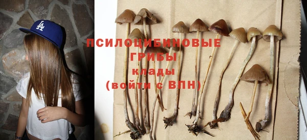 прущие грибы Богородск